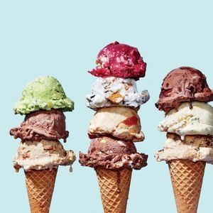 Meet your Posher, Maya